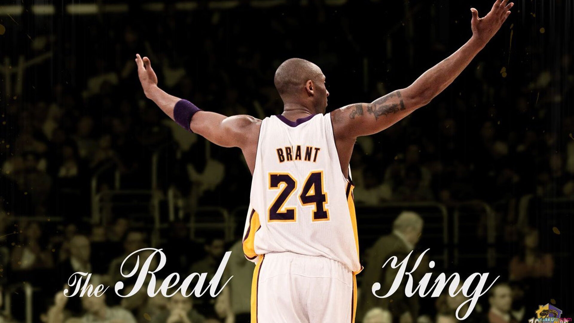 出色防守首场状态出色，篮网观众沸腾！，蒂姆重返赛场赛场气氛高涨